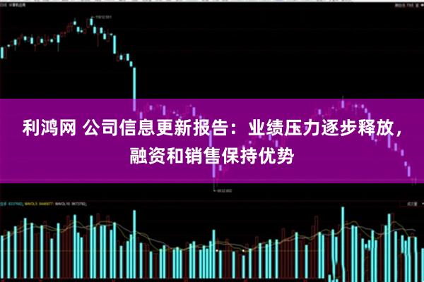 利鸿网 公司信息更新报告：业绩压力逐步释放，融资和销售保持优势