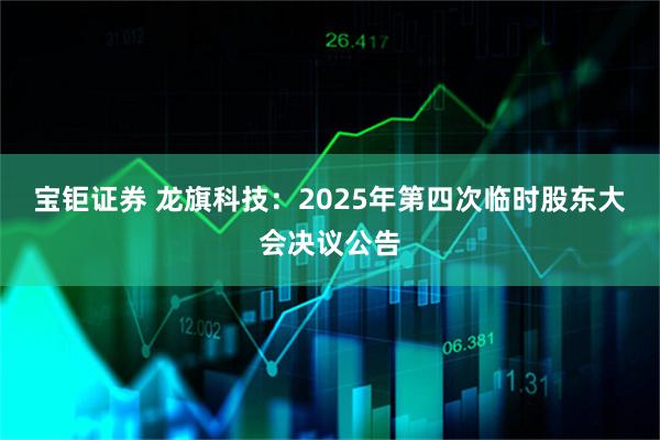 宝钜证券 龙旗科技：2025年第四次临时股东大会决议公告
