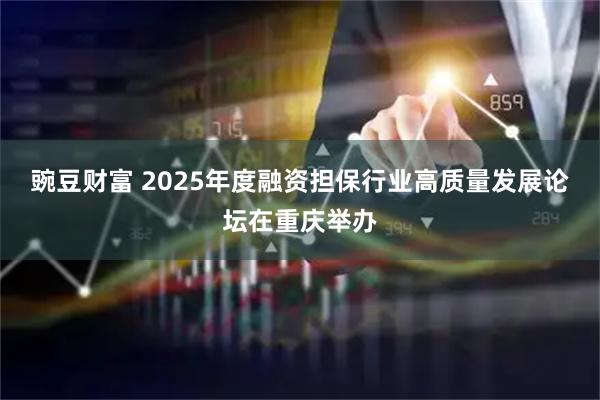 豌豆财富 2025年度融资担保行业高质量发展论坛在重庆举办