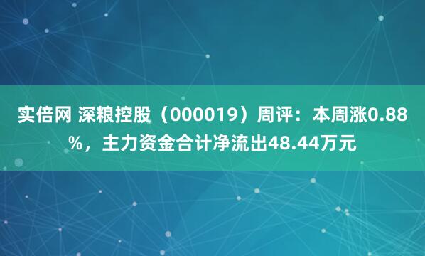 实倍网 深粮控股（000019）周评：本周涨0.88%，主力资金合计净流出48.44万元