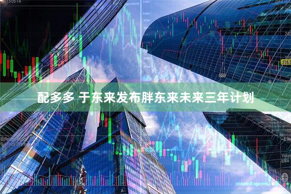 配多多 于东来发布胖东来未来三年计划