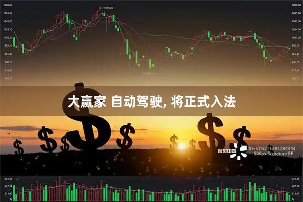 大赢家 自动驾驶, 将正式入法